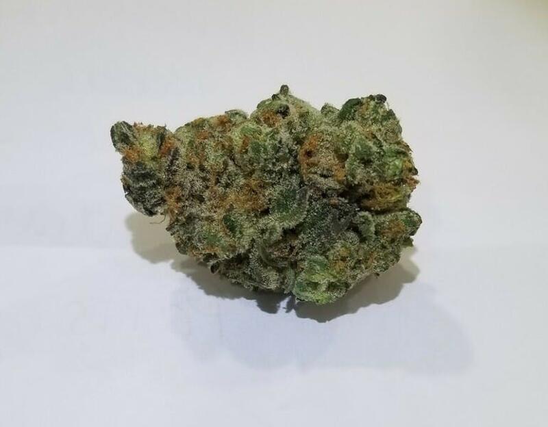 Mimosa (Gold Tier)