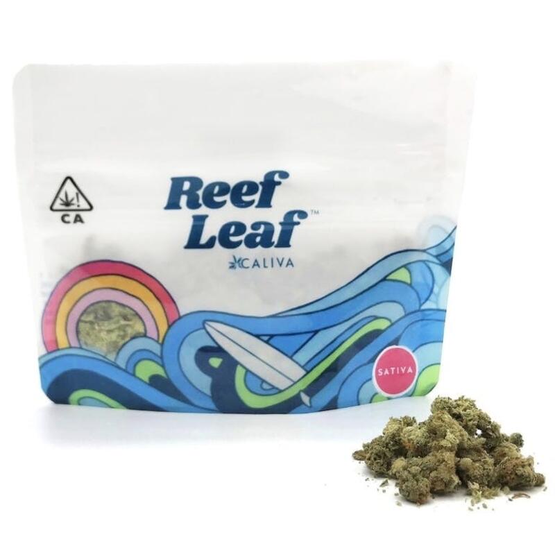 Caliva | Reef Leaf - Sativa