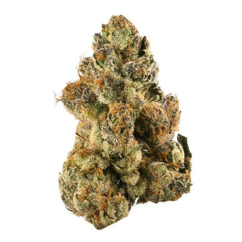 MadHouse | MadHouse 7g - Grand Champagne Smalls