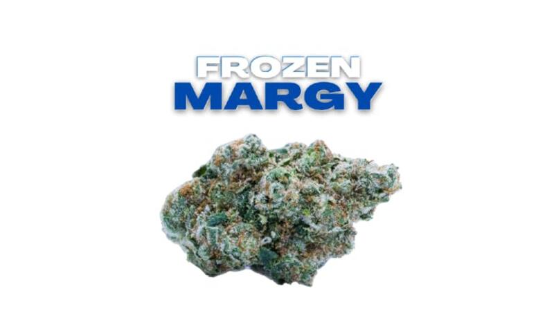Good Tree Exclusive GOLD LINE **Frozen Margy