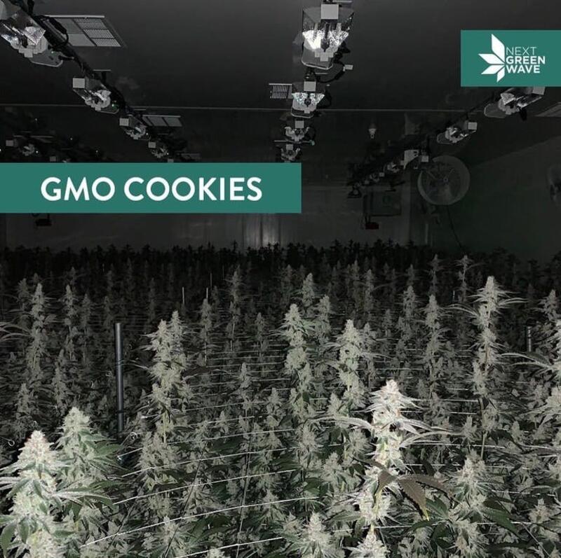 GMO Cookies