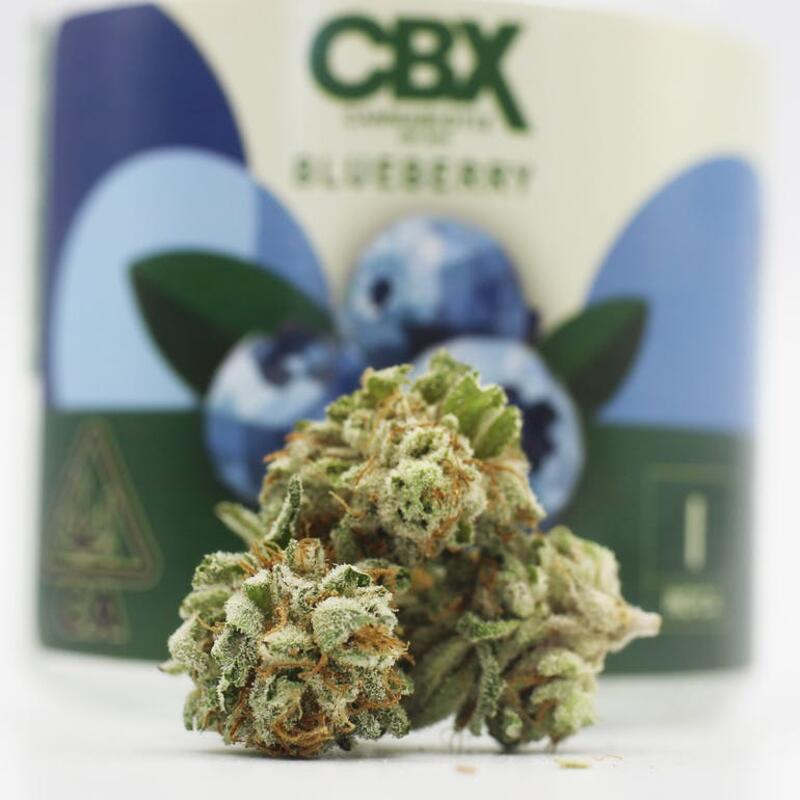 (CBX) - Blueberry