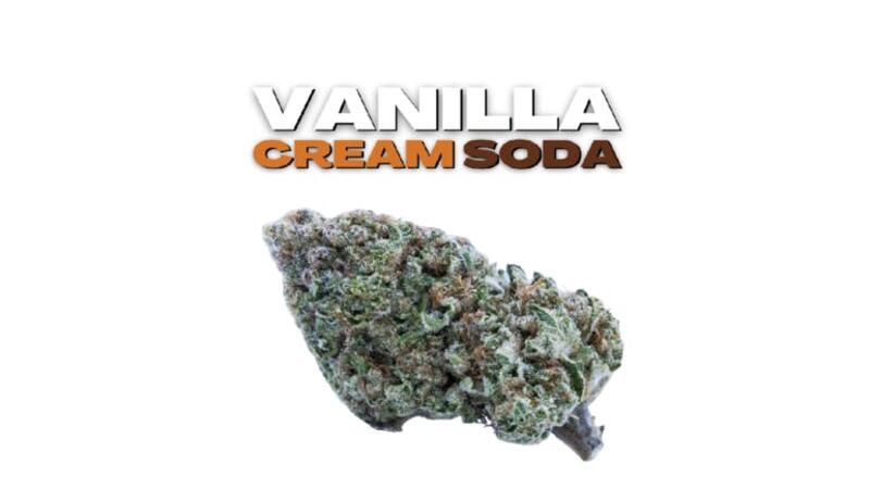 Good Tree Exclusive GOLD LINE **Vanilla Cream Soda