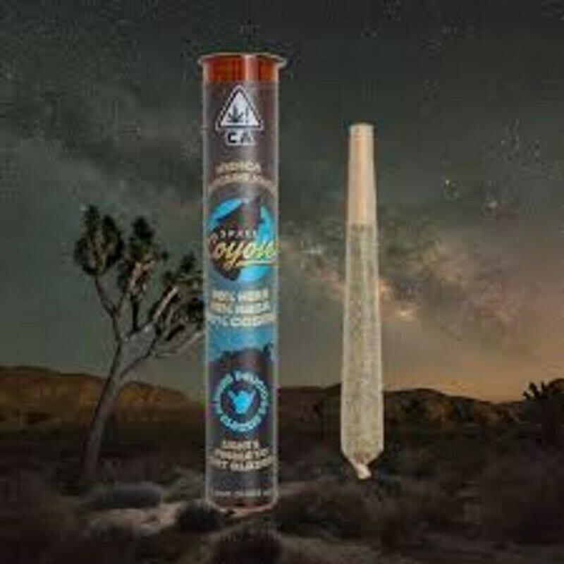 Space Coyote | Space Coyote Indica Hash Infused Preroll 1g