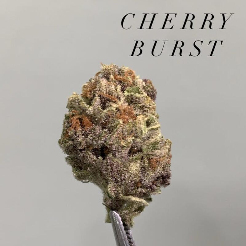 Cherry Burst