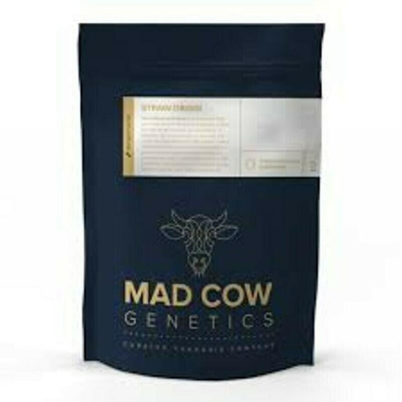 Mad Cow Genetics | Mad Cow BIGS Lemon Drop Flower 3.5g