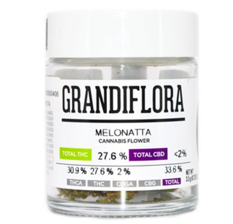 Grandiflora Melonatta | Greenhouse (3.5g)