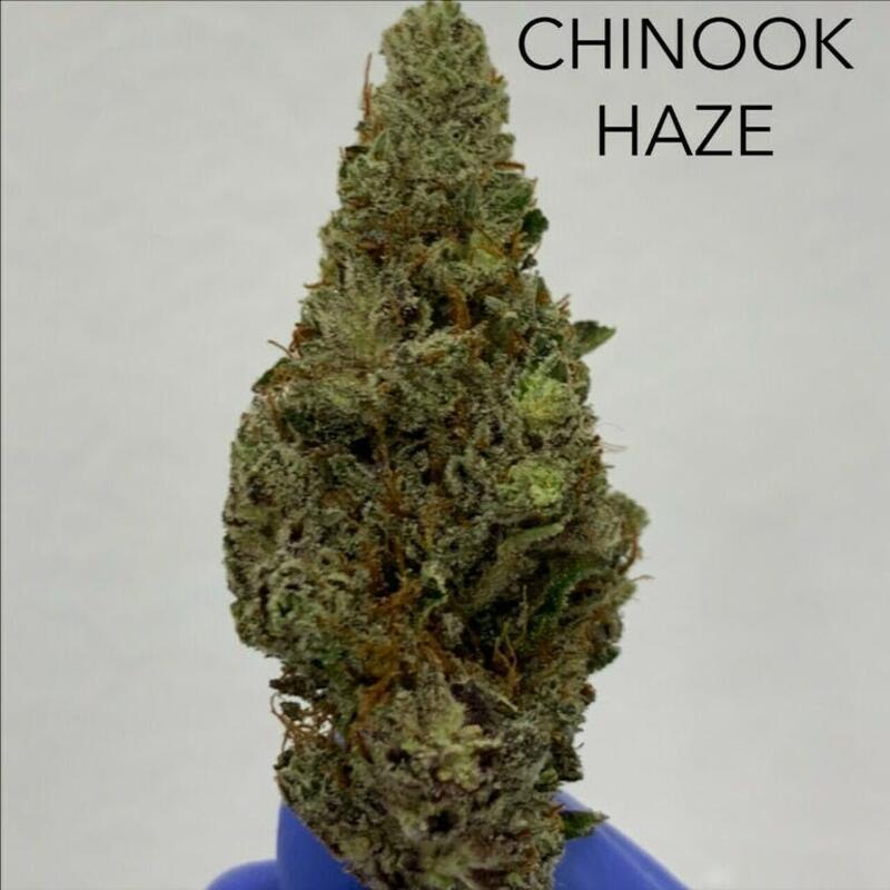 Chinook Haze