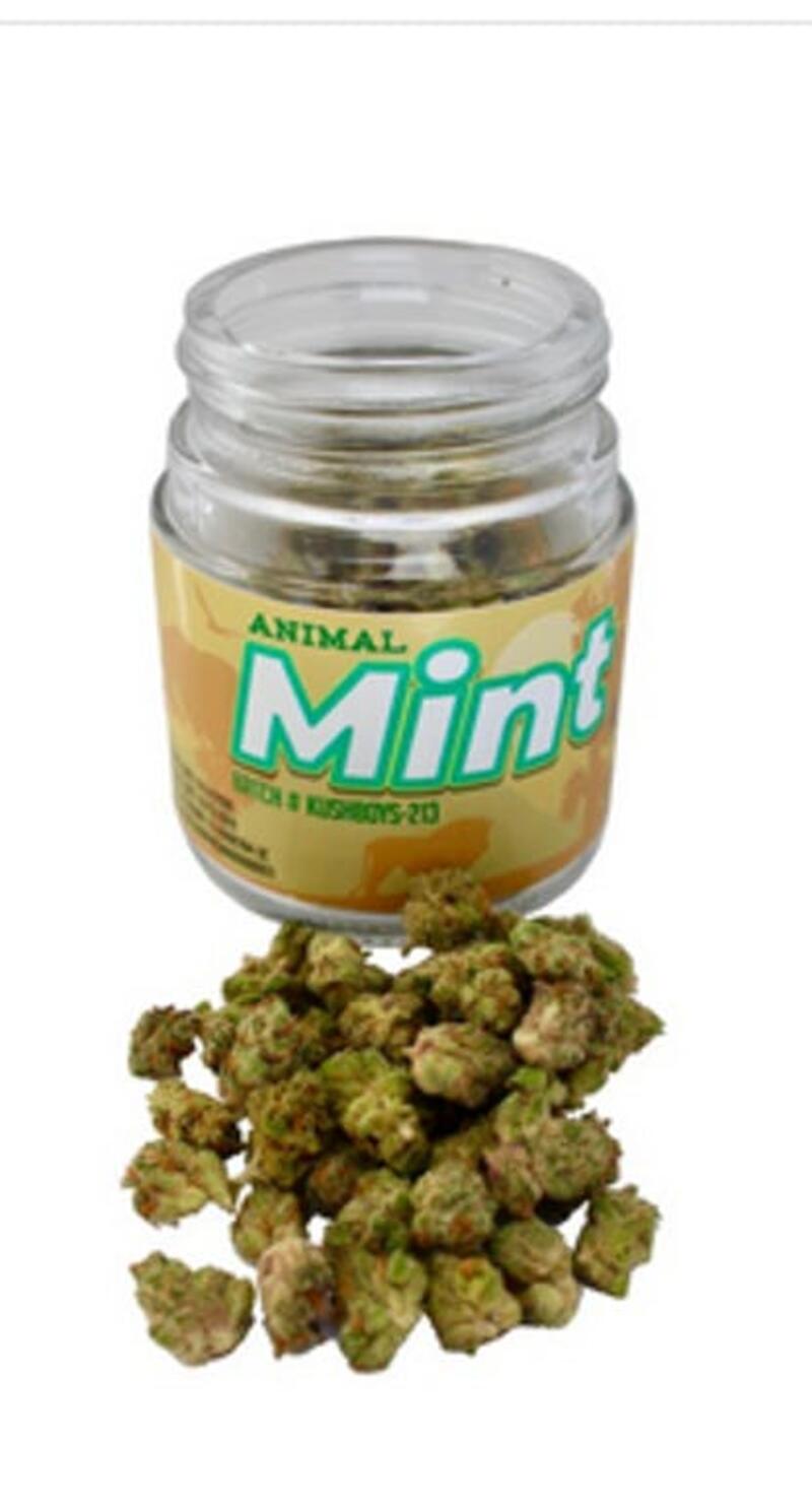 Kush Boys | Animal Mint Smalls | Indoor | Indica (7g)