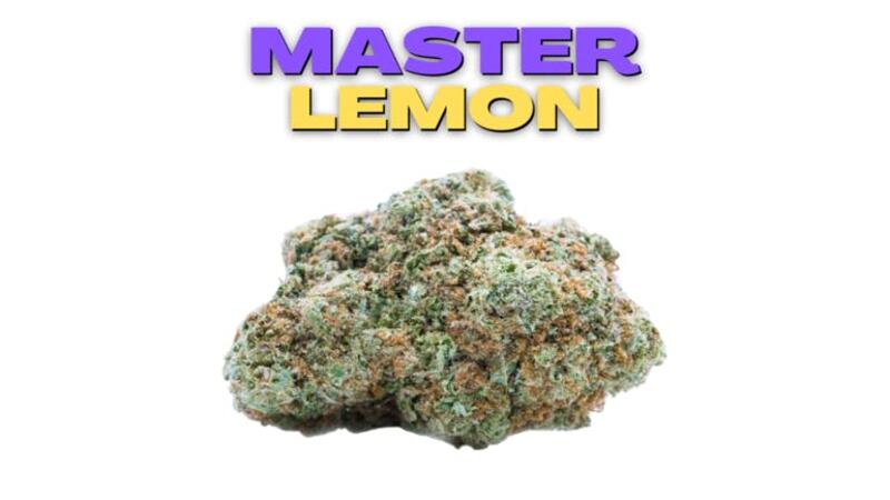 Master Lemon