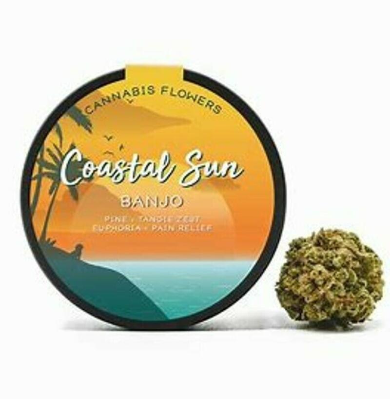 Coastal Sun | Coastal Sun Banjo 3.5g