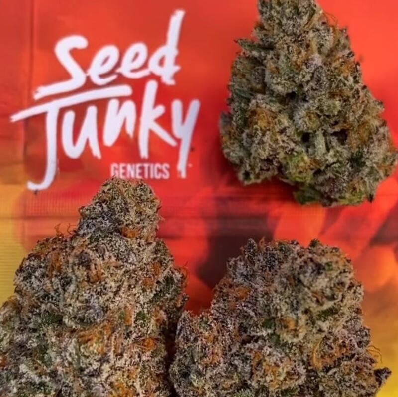 B. Seed Junky 3.5g Flower - Quality 9.5/10 - Apple Sorbet (~21% THC)