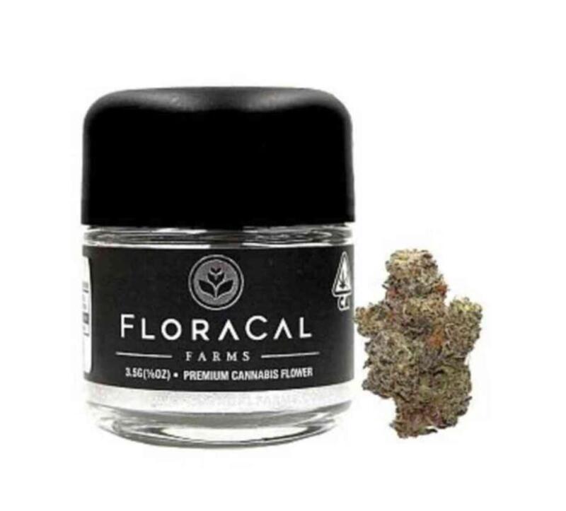 Floracal | Floracal Slurri Crasher 3.5g