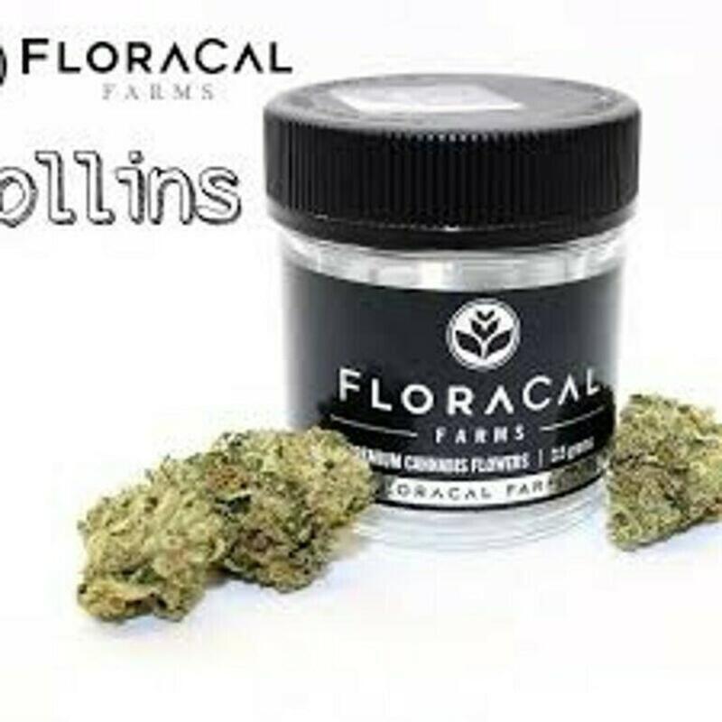 Floracal | FloraCal Rollins 3.5g