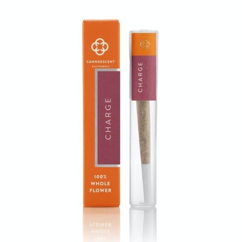 CANNDESCENT - CHARGE 1G PREROLL 1 GRAMS