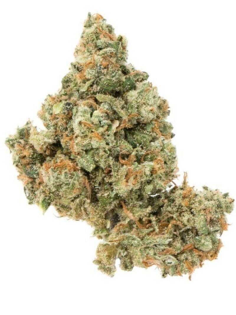 House of Flowers: Downtown (Jack Herer) 3.5g