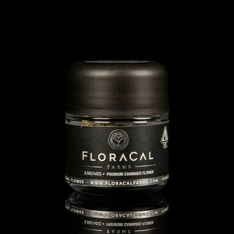 FloraCal | 3.5g Jar | Lime Sorbet (IH)