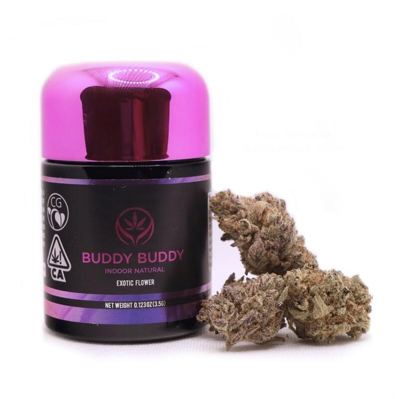 Buddy Buddy - 3.5G - Northern Nights