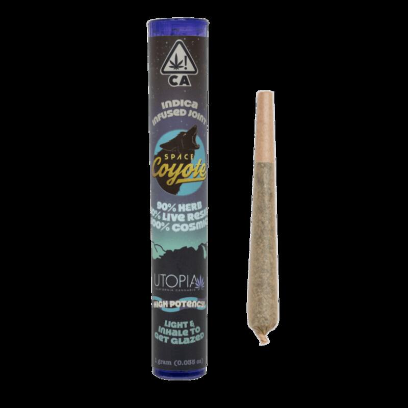 Critical OG | Infused Preroll 1g | Space Coyote