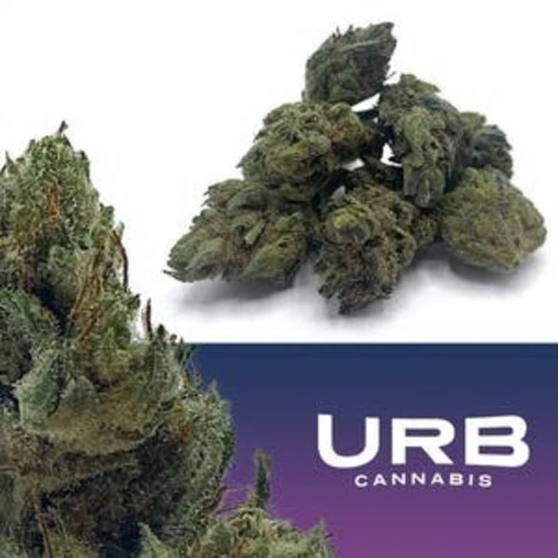 Citrix | North Cannabis (MED)
