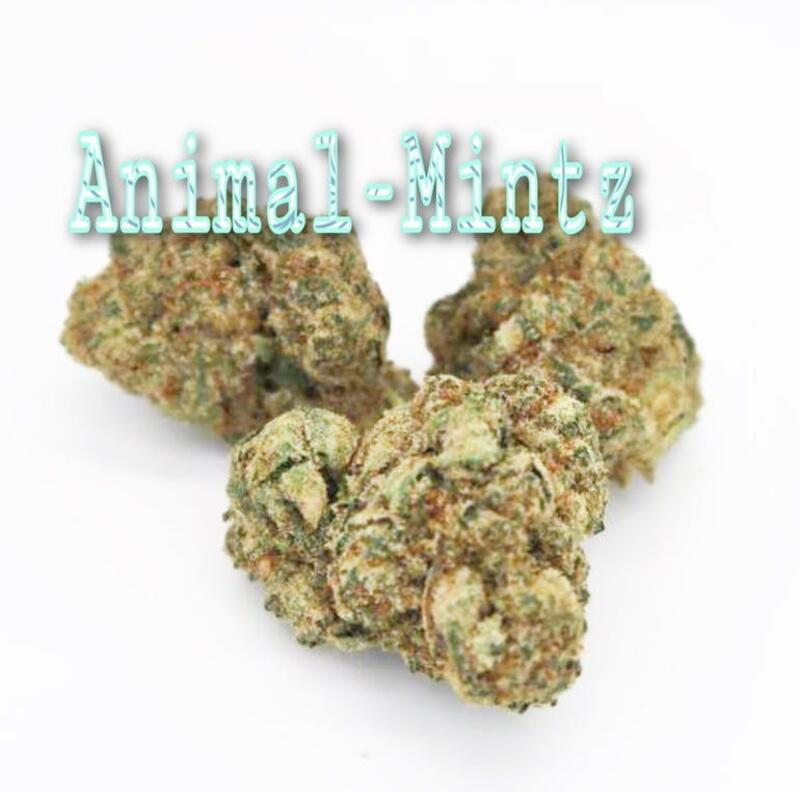 Animal Mintz