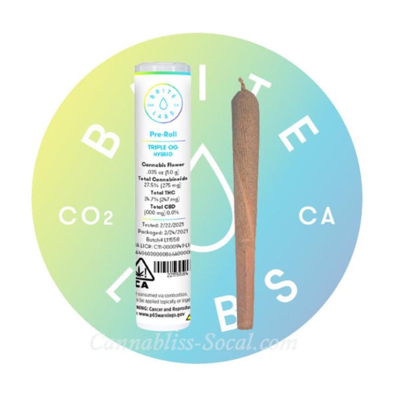 Brite Labs - Tropical Punch - Pre-roll