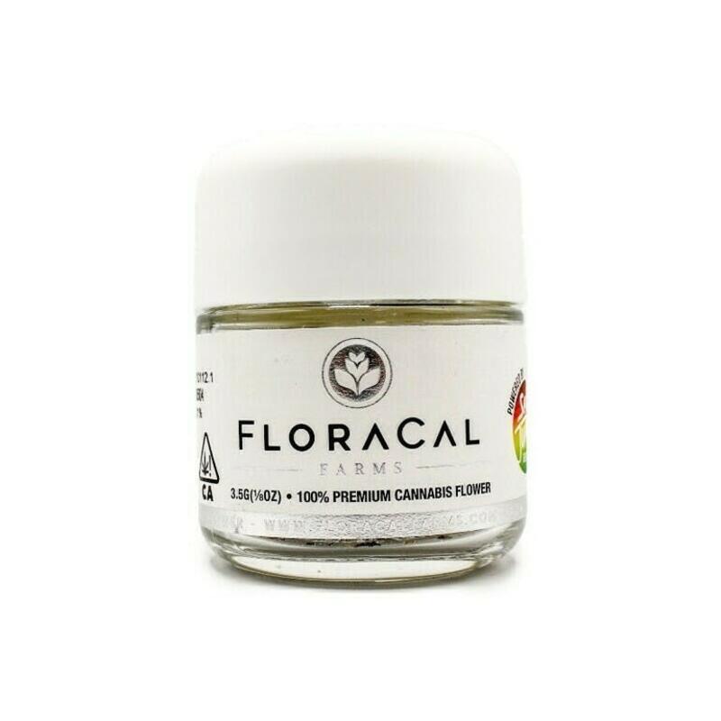 FloraCal | FloraCal | Seed Junky PyramidZ | 3.5g Eighth