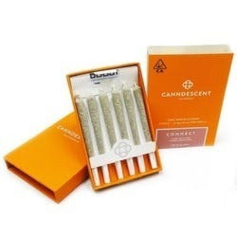 Canndescent Connect 428 Pre-Roll Mini Pack