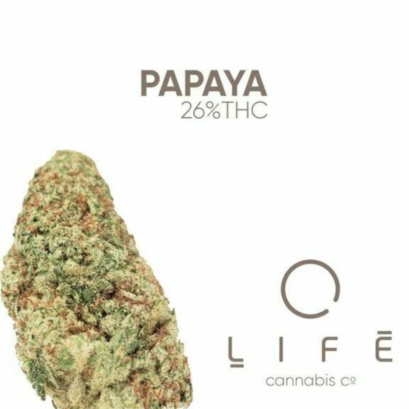 Papaya | 3.5g | Life Cannabis Co.