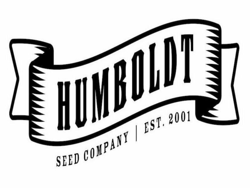 Don Carlos - Feminized Seeds 10pk - Humboldt Seed Company
