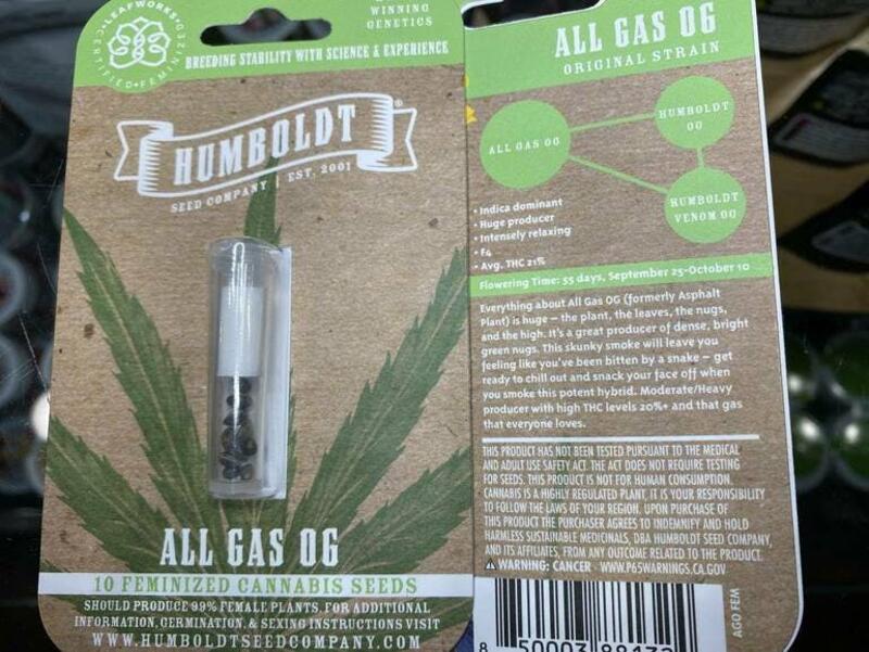 All Gas OG Seeds - Humboldt Seed Company
