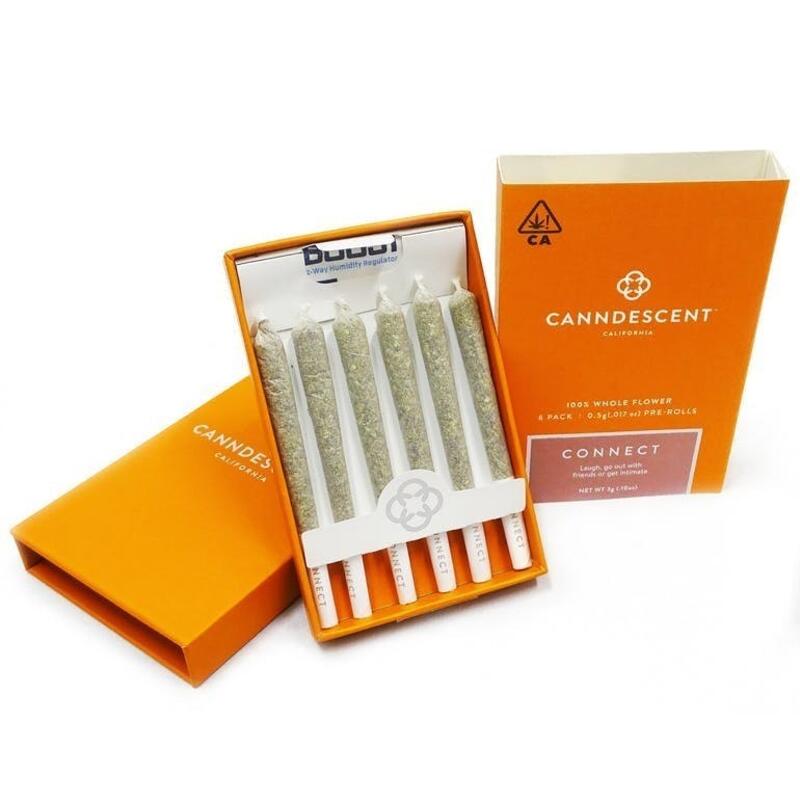 Canndescent Connect 408 .5g Pre-roll 6 Pack