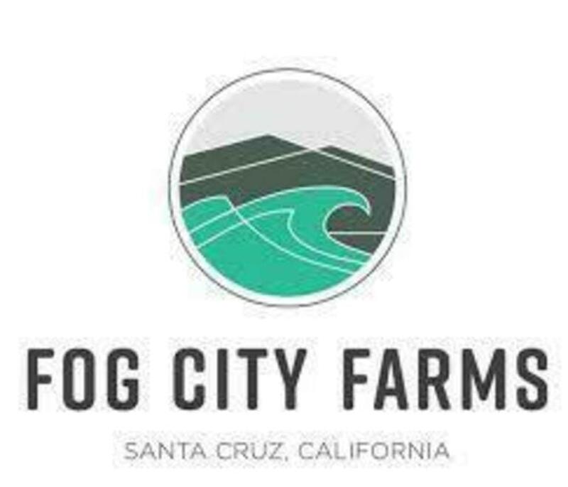 Fog City Farms - Flower - Pacific Gas - 3.5g