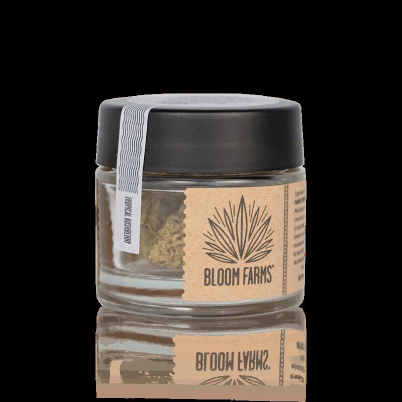 BLOOM FARMS - Tropical Kushberry (1/8 Oz - Jar)