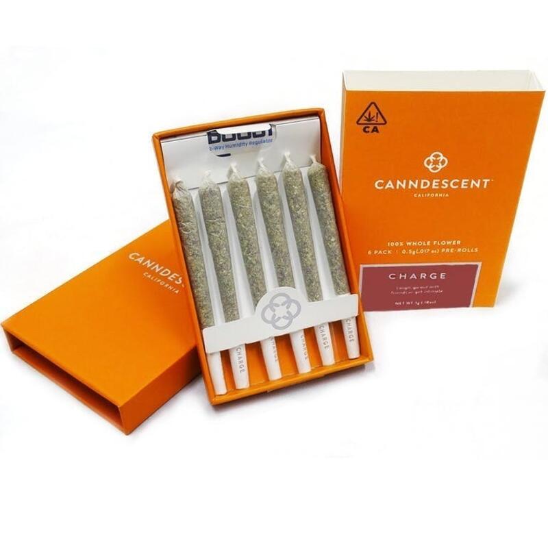 Canndescent Charge 501 .5g Pre-roll 6 Pack