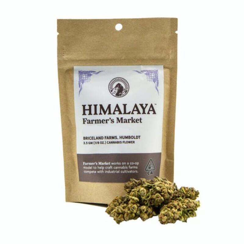 B. Himalaya 3.5g Flower - 7/10 - Purple Cherry Punch (H) (~21%)