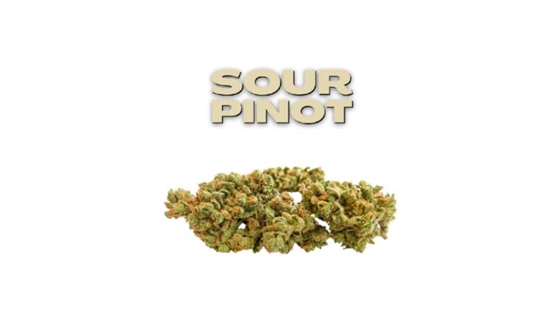 Sour Pinot