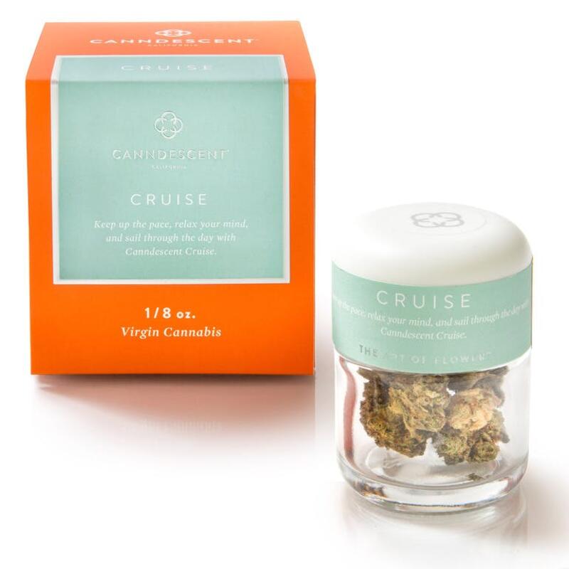 Canndescent - Cruise 203 1/8th