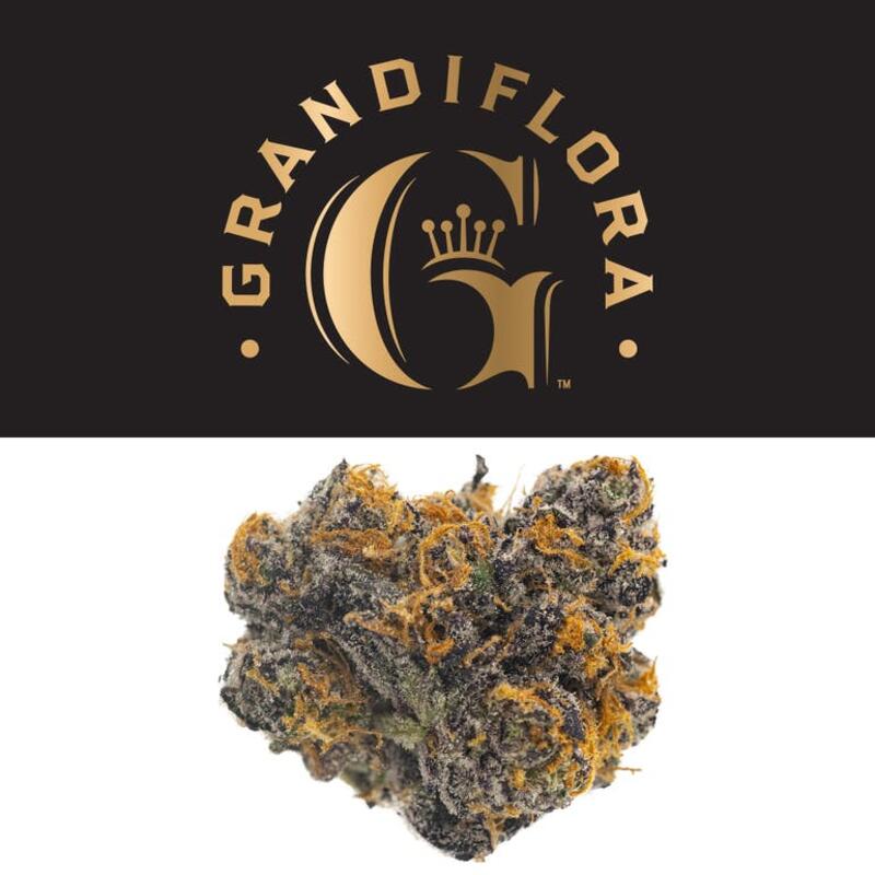 Grandiflora - Project 4516