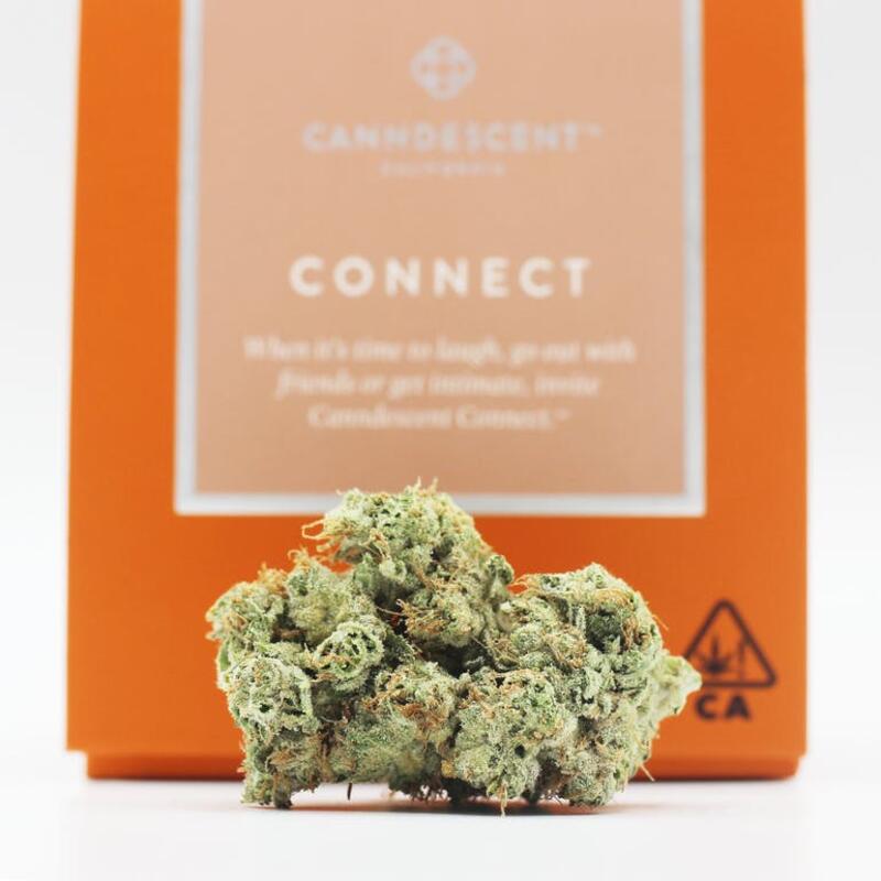 Connect - Canndescent