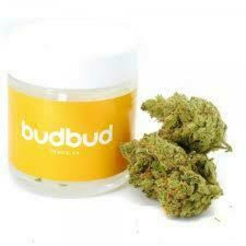 BudBud -Super Lemon Haze (1/8 Jar)