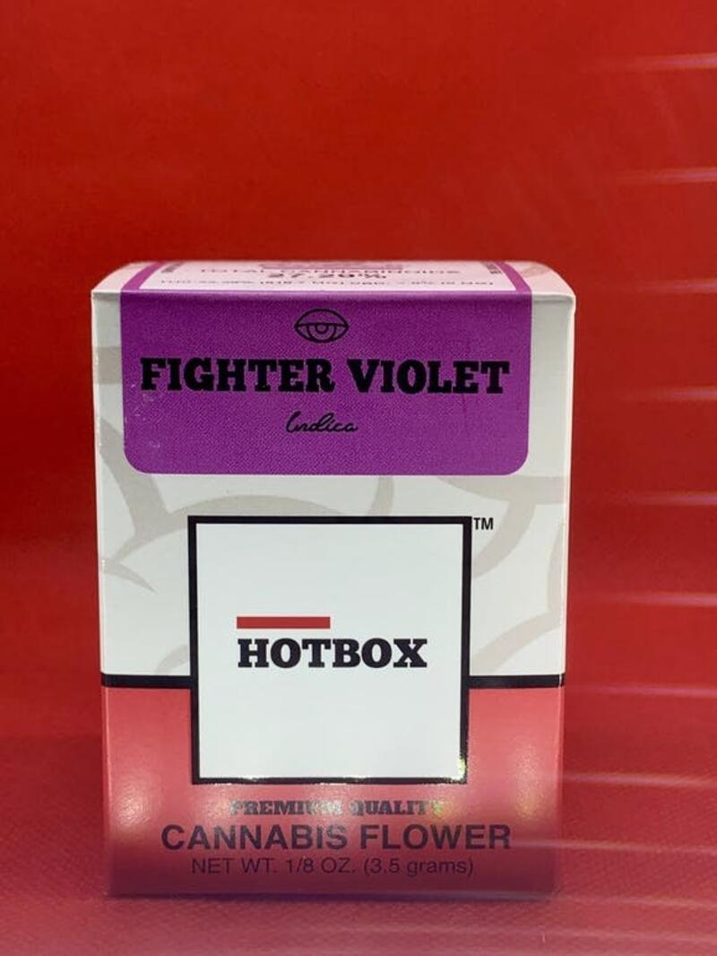Hot Box 1/8 Fighter Violet