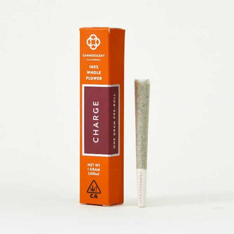 Canndescent - Pre-Roll Single - Charge 1g