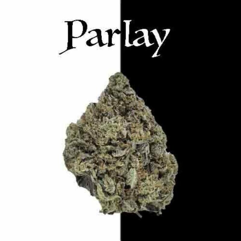 Parlay | Dolato 3.5G