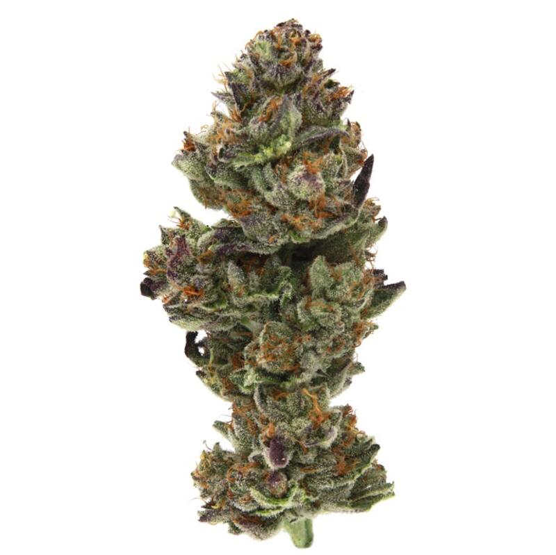 Bubba Diagonal - Eighth Ounce - Live Cured Flower