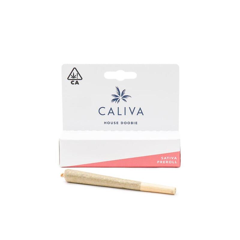Caliva | House Doobie (Sativa)