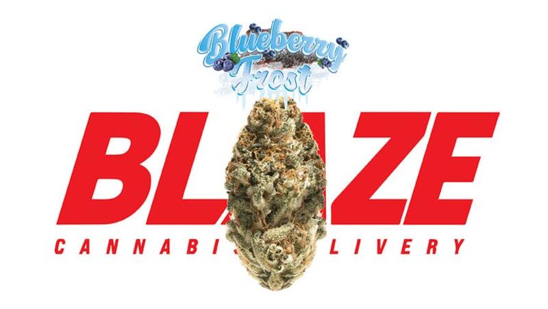 BLAZE EXOTIC | Blueberry Frost 3.5G