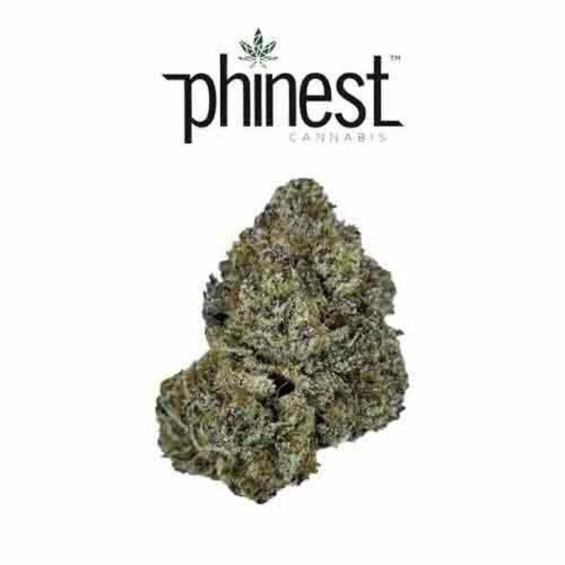 Phinest | Phatso 3.5G