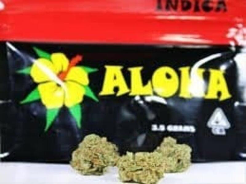 Aloha 3.5 Pouch (H) Tres Leches