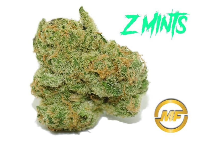 (REC) Z Mints